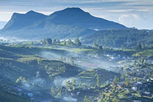 Central Highlands Gallery: Sri Lanka, Nuwara Eliya