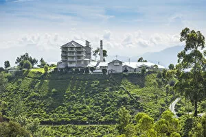 Images Dated 20th June 2018: Sri Lanka, Nuwara Eliya, Heritance tea estate, Heritance tea factory hotel