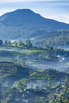 Sri Lanka, Nuwara Eliya, View of Nuwara Eliya