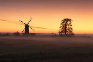 St. Benets Mill & Tree at Sunset, Norfolk Broads National Park, Norfolk, England