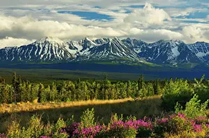 Evergreen Prints: St. Elias Mountains, a subgroup of the Pacific Coast Ranges from Haines Junction Yukon