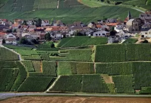 French Wine Regions Gallery: St-Euphraise-et-Clairizet