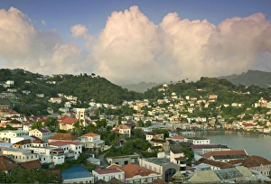 Grenada Prints: St. Georges Harbour