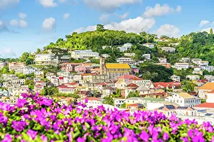 Grenada Prints: St Georges including the Cathedral of the Immaculate Conception