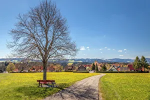 Bench Prints: St. Margen, Black Forest, Baden-Wurttemberg, Germany