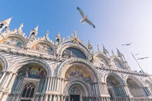 Venezia Collection: St Marks Basilica, St Marks Square, Venice, Veneto, Italy
