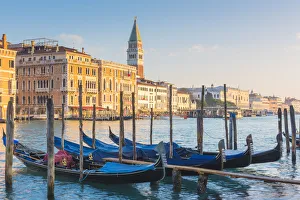 Bell Towers Prints: St Marks Campanile from Dorsoduro, Venice, Veneto, Italy