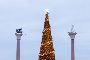St Marks Square, Christmas decorations Venice, Veneto, Italy