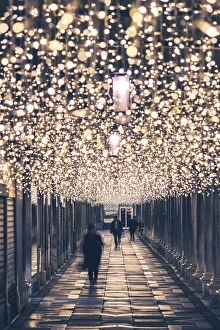 Lights Gallery: St Marks Square, Venice, Veneto, Italy. Christmas decorations along the long arcade