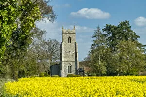 Farmland Collection: St. Michaels Church in Field of Rape, Hockering, Norfolk, England