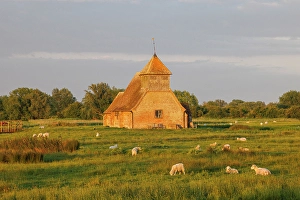 Marsh Prints: St. Thomas Becket Church, Fairfield, Romney Marsh, Kent, England, UK