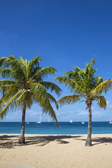 St Vincent and The Grenadines, Mayreau, Saline Bay