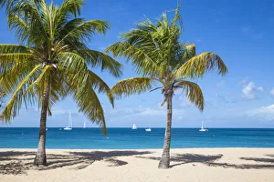 St Vincent and The Grenadines, Mayreau, Saline Bay