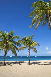 St Vincent and The Grenadines, Mayreau, Saline Bay