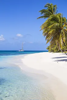 Images Dated 12th February 2018: St Vincent and The Grenadines, Petit St Vincent