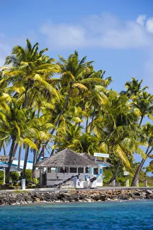 Images Dated 12th February 2018: St Vincent and The Grenadines, Union Island, Clifton harbour, Anchorage Yacht Club
