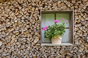 Stacked firewood and potted plant at historic farm near Seefeld in Tirol, Tyrol, Austria Stacked firewood and potted plant at historic farm near Seefeld in Tirol, Tyrol, Austria
