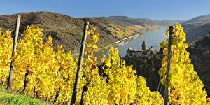 Stahleck and Rhine River, Bacharach, Rhine Valley, Rhineland-Palatinate, Germany
