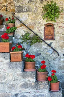 Staircase Prints: Staircase of Geraniums, Tuscany, Italy