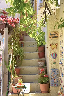 Plant Pot Prints: Staircase, Kritsa, Crete, Greek Islands, Greece, Europe