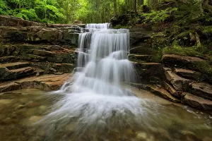 Watercourse Prints: Stairs Falls in spring, Falling Waters Trail
