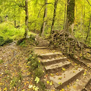 Swabian Jura Prints: Stairways to Bad Urach Waterfall, Swabian Jura, Baden- Wurttemberg, Germany