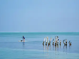 Board Prints: Stand up paddle at Caye Caulker, Belize District, Belize