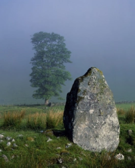 Power Prints: Standing stone and Oak tree