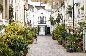 Images Dated 14th July 2021: Stanhope Mews South, Kensington, London, England