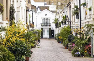 Kensington Prints: Stanhope Mews South, Kensington, London, England