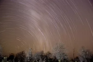 Images Dated 2nd August 2013: Star trails, Ruaha National park, Tanzania