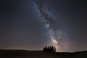 Starry sky over cypresses in Orcia Valley. Siena district, Tuscany, Italy