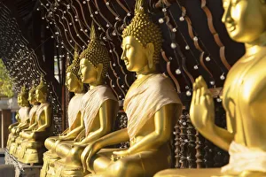 Religious Architecture Prints: Statues at Seema Malakaya on Bere Lake, Colombo, Sri Lanka
