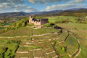 Wine Route Prints: Staufen Castle ruins, Staufen im Breisgau