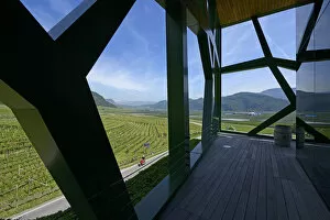 Images Dated 4th February 2015: Steel vines architecture of the Tramin Winery, Wine Route, Tramin, South Tyrol, Italy