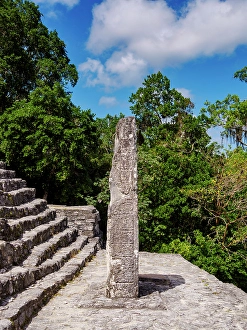 Kalakmul Prints: Stela at Structure II, Calakmul Archaeological Site, Campeche State, Mexico