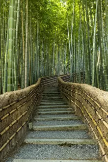 Adashino Nembutsu Ji Temple Gallery: Steps Through Bamboo Forest, Adashino Nembutsu-ji Temple, Arashiyama, Kyoto, Japan