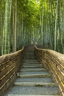 Adashino Nembutsu Ji Temple Gallery: Steps Through Bamboo Forest, Adashino Nembutsu-ji Temple, Arashiyama, Kyoto, Japan