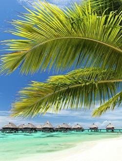 Society Islands Prints: Stiled hotel suites and beach scene