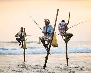 Stilt Fishermen at dusk, Weligama, South Coast, Sri Lanka, Asia