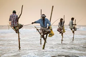 Stilt Fishermen at dusk, Weligama, South Coast, Sri Lanka, Asia