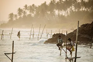 Stilt Fishermen at dusk, Weligama, South Coast, Sri Lanka, Asia