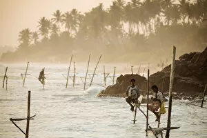 Images Dated 28th March 2019: Stilt Fishermen at dusk, Weligama, South Coast, Sri Lanka, Asia