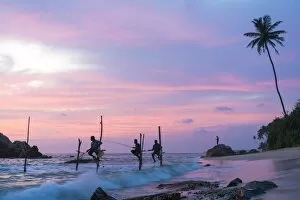 Sri Lanka Gallery: Stilt fishermen, sunset, Weligama, South coast, Sri Lanka