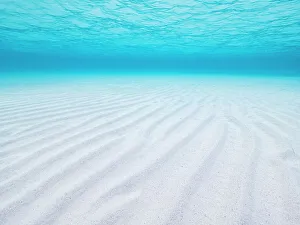 Ripples Prints: Stingray City Sandbar, Grand Cayman, Cayman Islands, BWI
