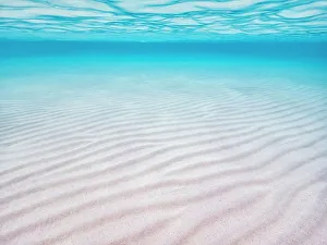Ripples Prints: Stingray City Sandbar, Grand Cayman, Cayman Islands, BWI