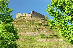 Wine Route Prints: StÔÇÜAaaufen Castle ruins, Staufen im Breisgau