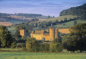 Shropshire Prints: Stokesay Castle