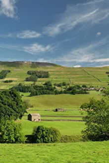 Barn Prints: Stone Barn near Hawes, Wensleydale, Yorkshire Dales National Park, England