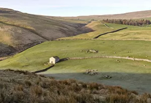 A stone barn in a valley near Arncliffe, Yorkshire Dales National Park, North Yorkshire